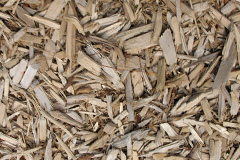 biomass boilers Ensdon